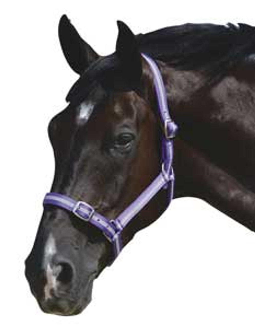 ROMA HEADCOLLAR & LEAD SET, FULL