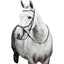Micklem Bitless Bridle, brown, small horse