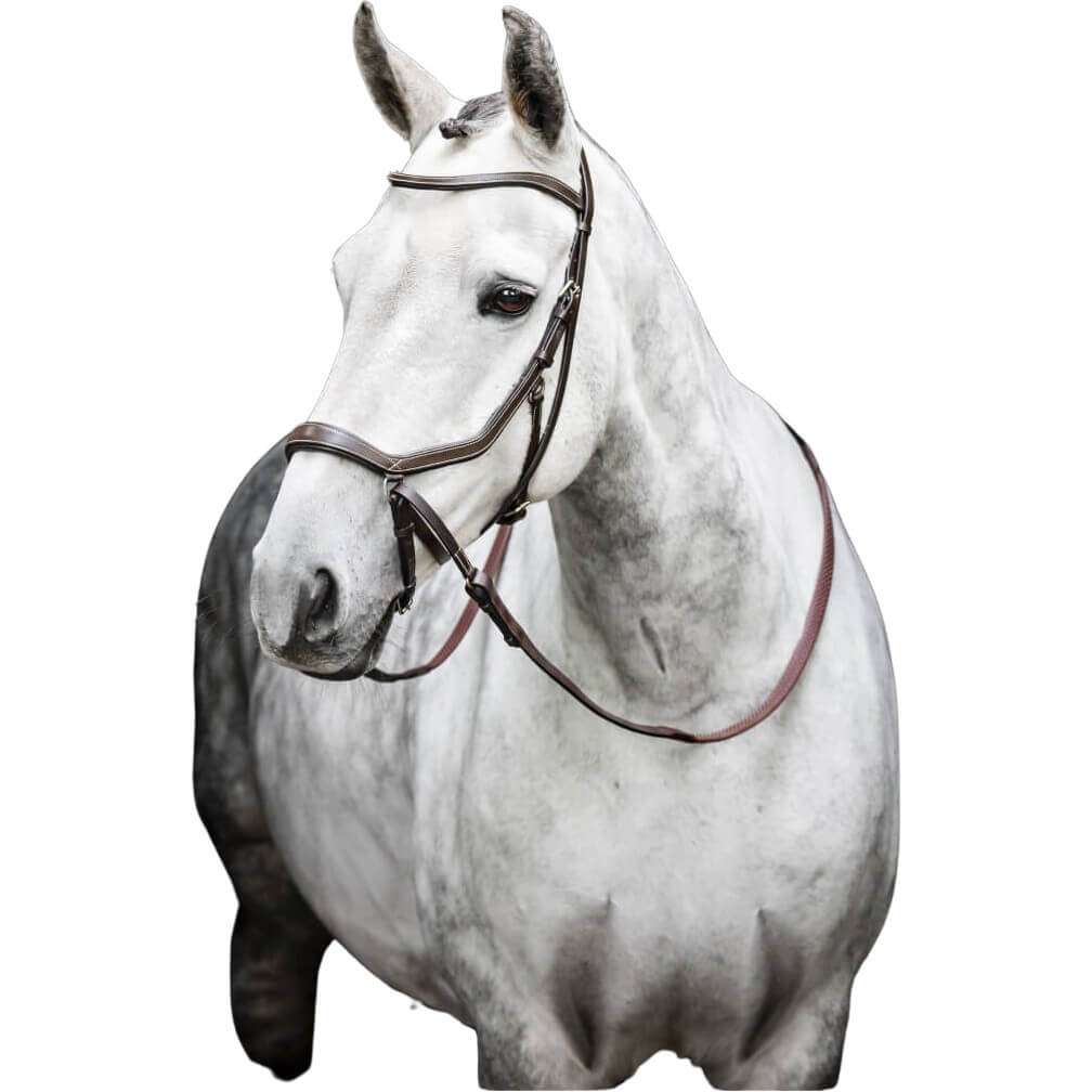 Micklem Bitless Bridle, brown, small horse