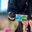 JUNGLE - Limited Edition Icing Donuts I Set of 2 decorated horse cookies in donut shape