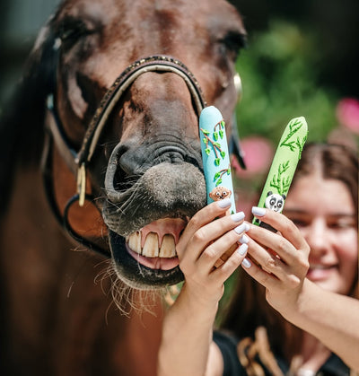 CANDY HORSE STICKS WITH ICING, JUNGLE COLLECTION