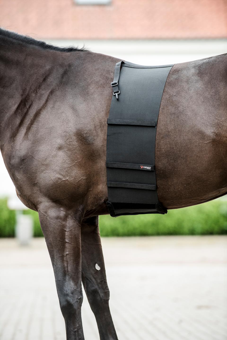 CATAGO Body Shield black 200 cm L