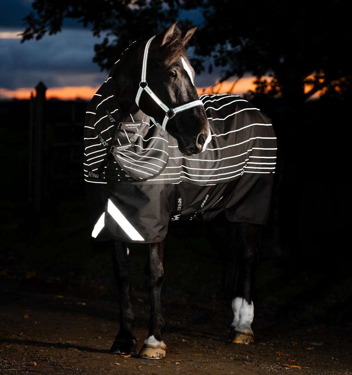 Amigo 1200D FieldSafe Reflectech plus Turnout 100g, 155 cm