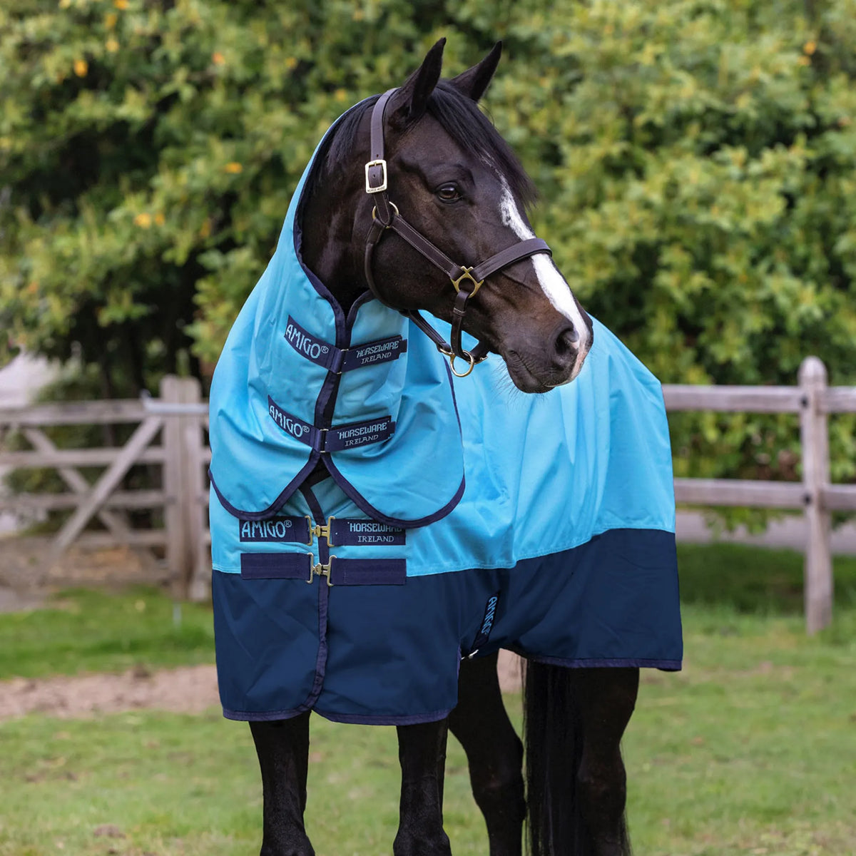 Amigo Hero Ripstop Plus 100g Limited Edition Turnout Rug,  Delphinium Blue/Navy