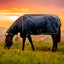 Amigo® Ripstop 900D Plus Pony Turnout 100g, Witney Navy, 95cm (4'9")