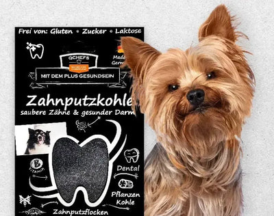 QCHEFS Dog Treat with Activated Charcoal Dental Charcoal 80 g