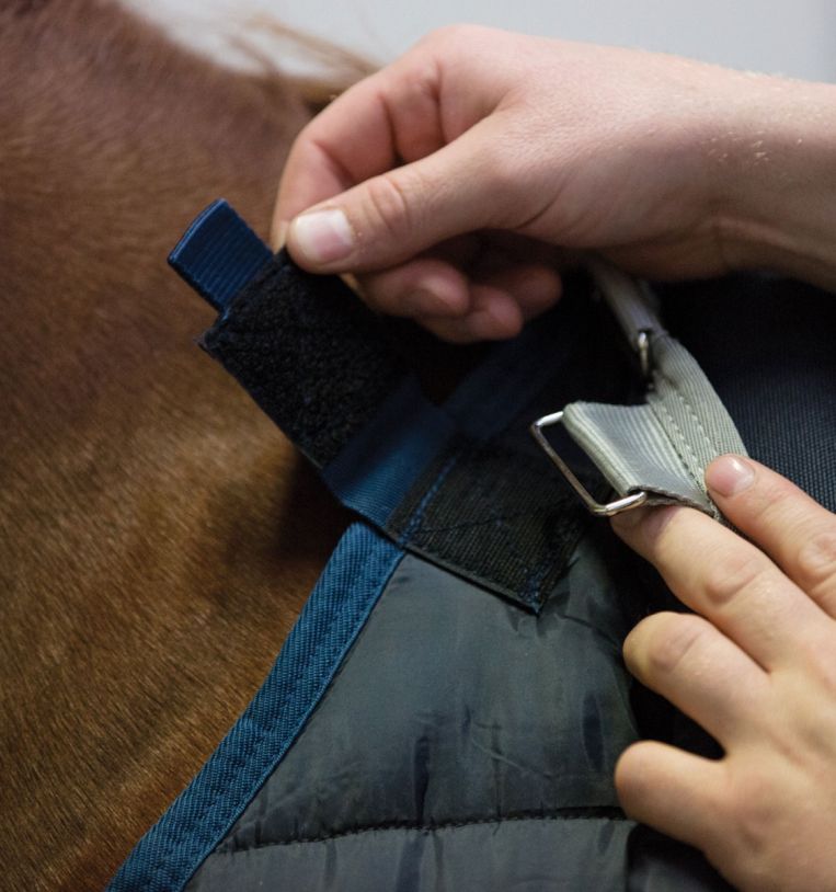 Horseware® Liner (200g Medium)