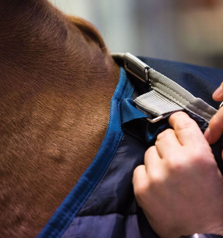 Horseware® Liner (200g Medium)