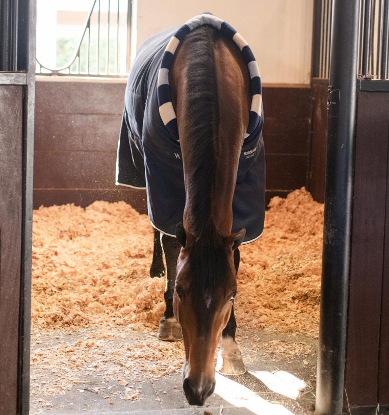 Horseware Newmarket Cosy Stable 100g, 155cm (6'9")