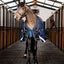 Horseware® Easy-Layer Stable (100g Light), 165 cm (7'3")