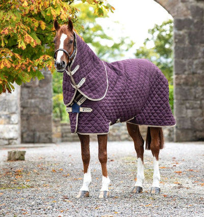 Amigo® Stable Plus Rug with Disc Front Closure (200g Medium), 145cm (6'6")