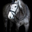HorseGuard Emi 24.2 bridle with combined noseband, XFULL