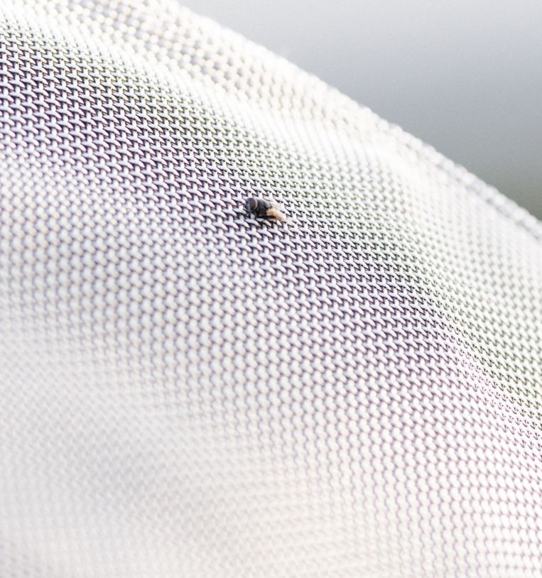 Rambo Protector Fieldsafe Plus Fly Sheet