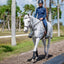 Amigo Flyrider