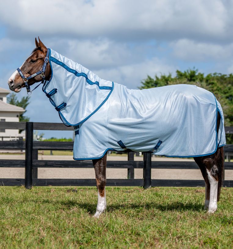 Amigo Bug Rug Plus Fly Sheet (Heather Blue/Blue & Silver)