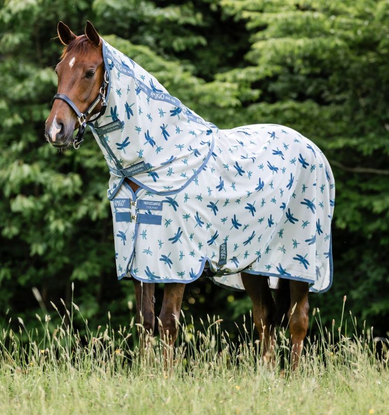 Amigo Bug Rug Plus Fly Sheet (Dragonfly Print/Silver & Blue & Sage)