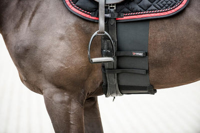CATAGO Body Shield black 200 cm L