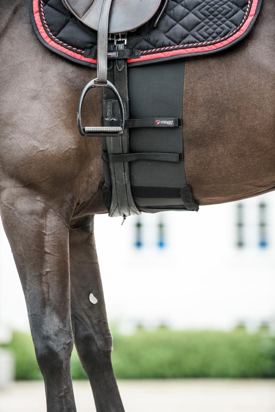 CATAGO Body Shield black 200 cm L