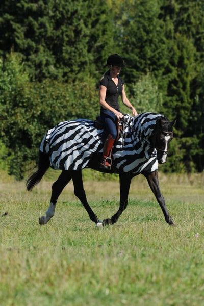 Bucas Buzz-Off Riding Zebra