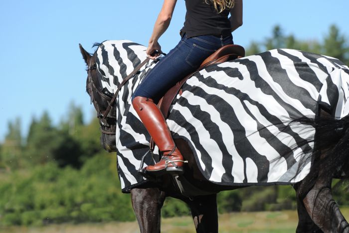 Bucas Buzz-Off Riding Zebra