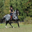Bucas Buzz-Off Riding Zebra