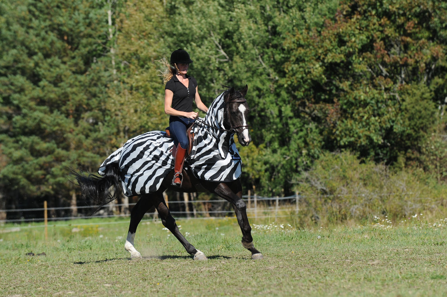 Bucas Buzz-Off Riding Zebra