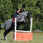 Bucas Buzz-Off Riding Zebra