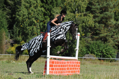 Bucas Buzz-Off Riding Zebra
