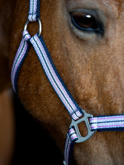 HorseGuard Mascha halter, FULL