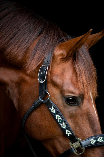 CATAGO Vanamo leather halter, pearl pattern, COB