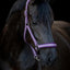 HorseGuard Cole halter, Italian Plum