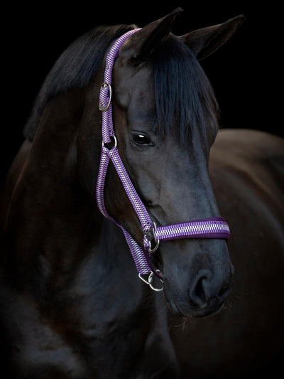 HorseGuard Cole halter, Italian Plum