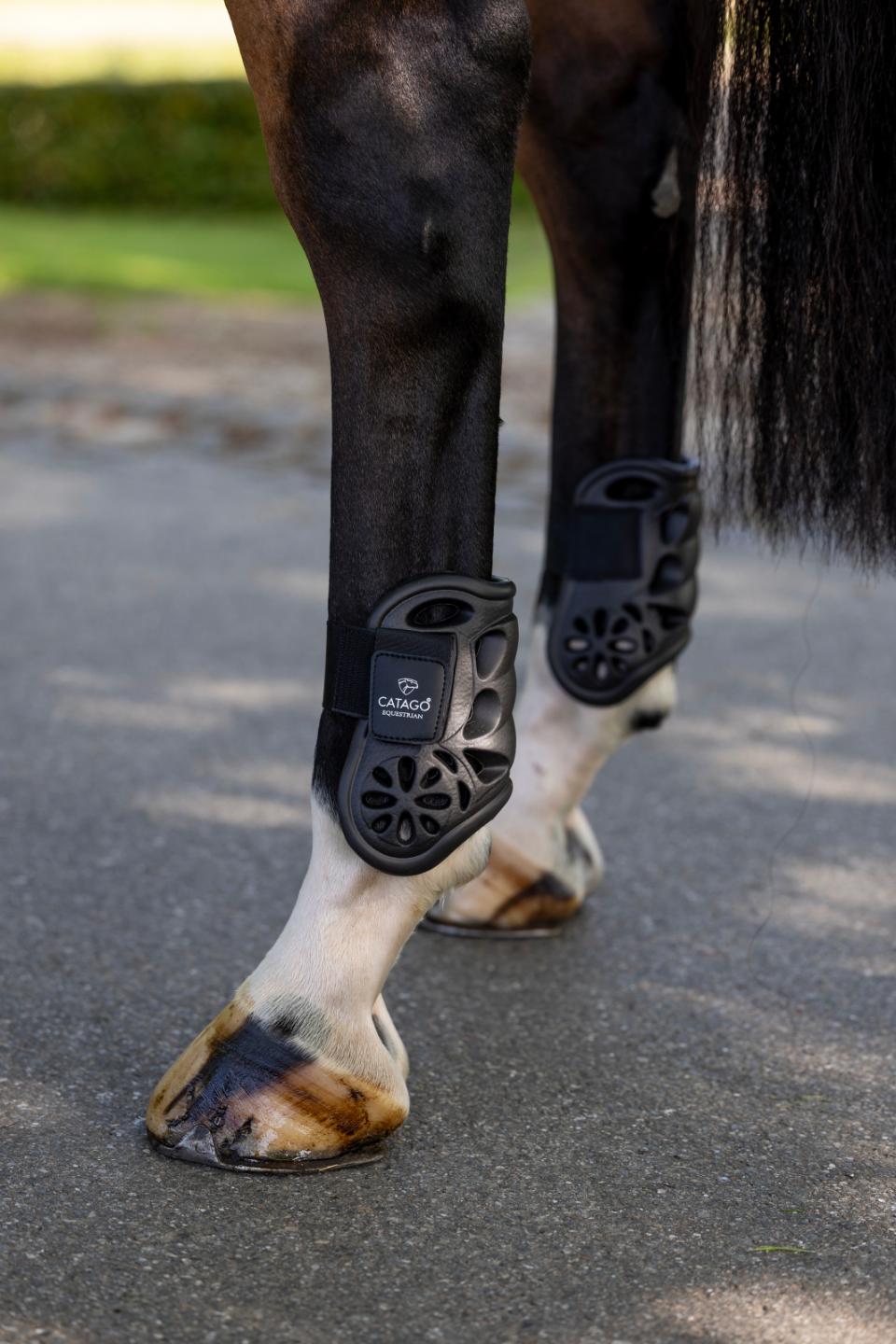 CATAGO Eva fetlock boots Black FULL