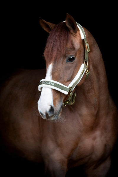 CATAGO Bea halter Kangaroo PONY