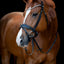 HorseGuard Cryll 25.1 bridle with pull-back and flash, Black, COB