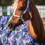 HorseGuard Gradient halter