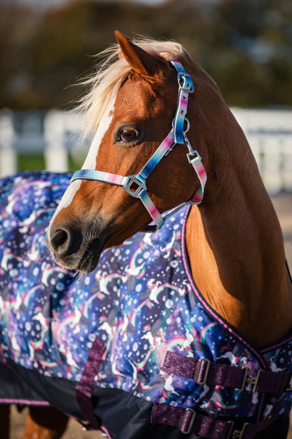 HorseGuard Gradient halter