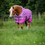 HG Josh pony turnout rug 600D 0g, Phlox Pink 145