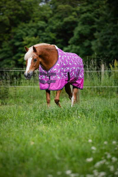 HG Josh pony turnout rug 600D 0g, Phlox Pink 145