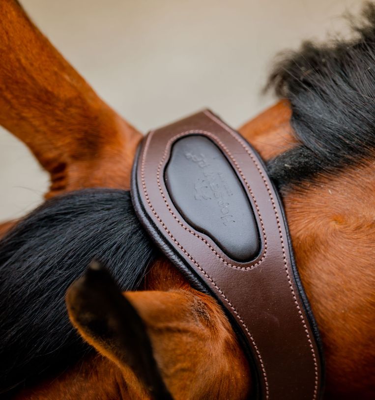 Horseware® Signature Competition Headcollar