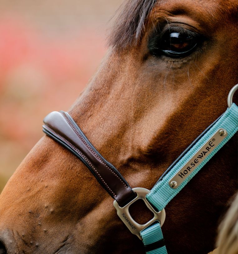 Horseware® Signature Competition Headcollar