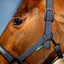 Amigo® Headcollar & Leadrope Set