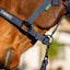 Amigo® Headcollar & Leadrope Set