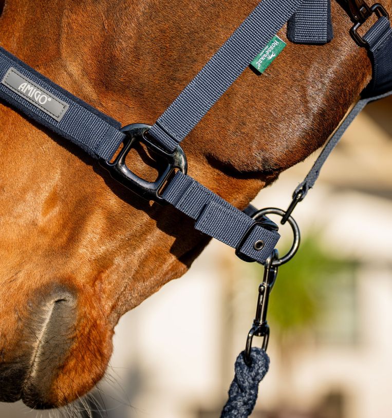 Amigo® Headcollar & Leadrope Set