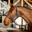 Amigo® Headcollar & Leadrope Set