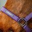 Amigo® Headcollar & Leadrope Set