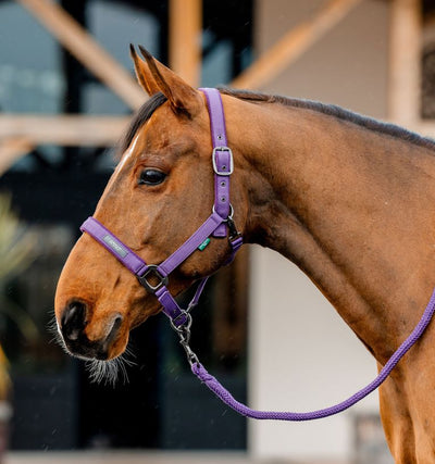 Amigo® Headcollar & Leadrope Set