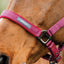 Amigo® Headcollar & Leadrope Set