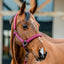 Amigo® Headcollar & Leadrope Set
