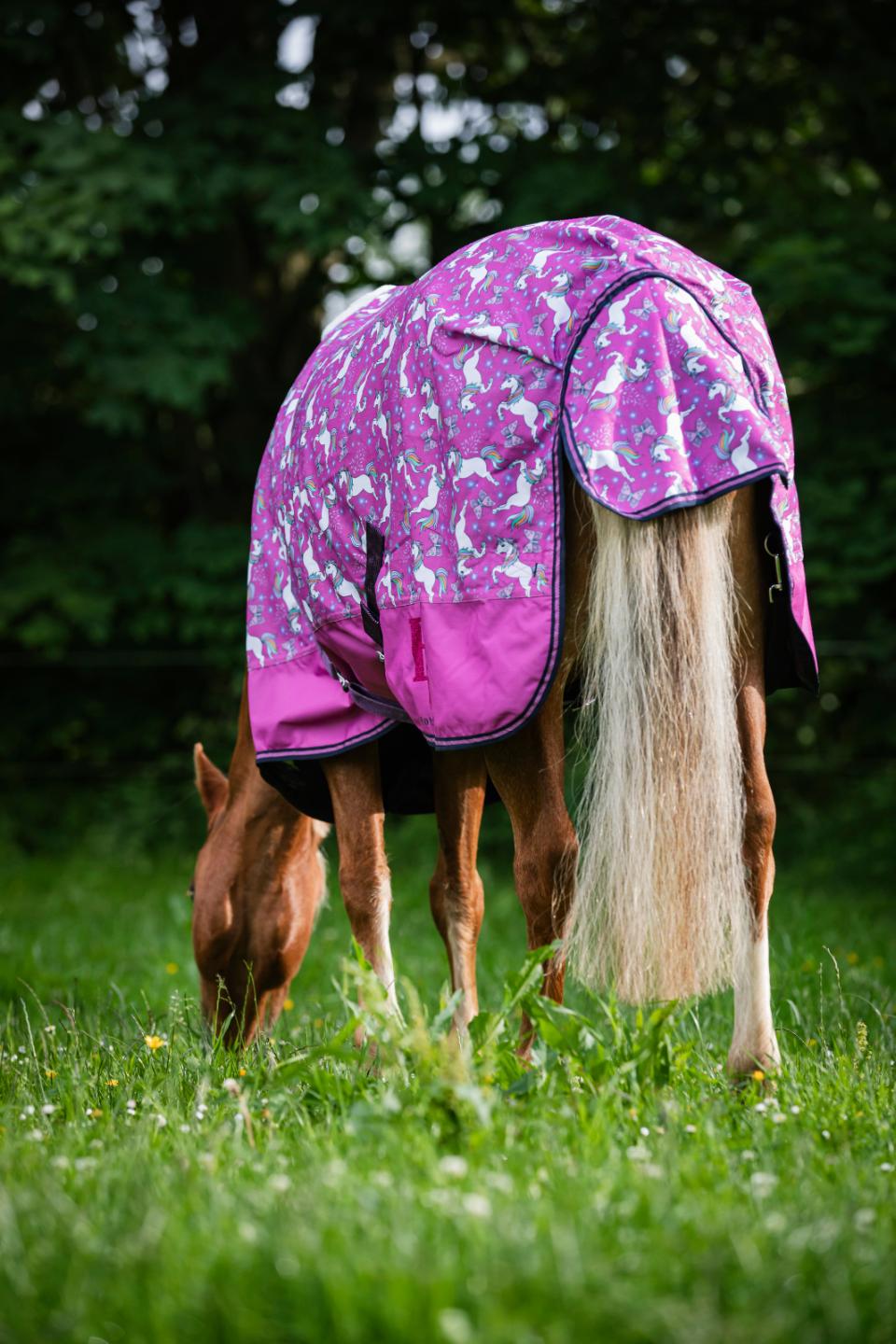 HG Josh pony turnout rug 600D 0g, Phlox Pink 145